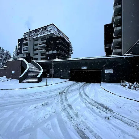 Mountain View Homes Poiana Brasov